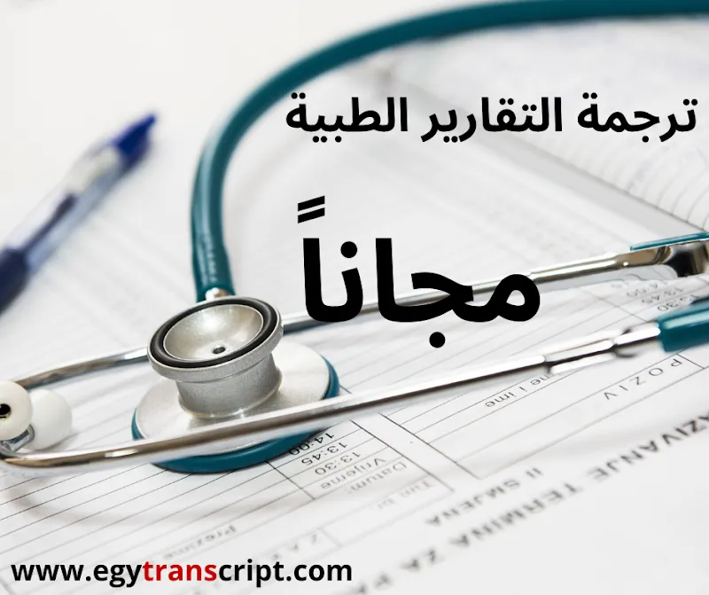 EgyTranscript Translation &amp; Interpretation Agency