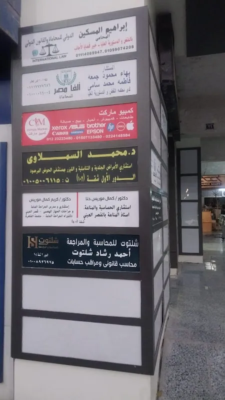 Shaltout Accounting and Auditing
Ahmed Rashad Shaltout, Certified Public Accountant and Tax Expert