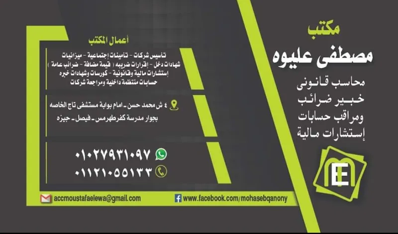 Mohamed Fikry, Certified Public Accountant and Financial Consultant