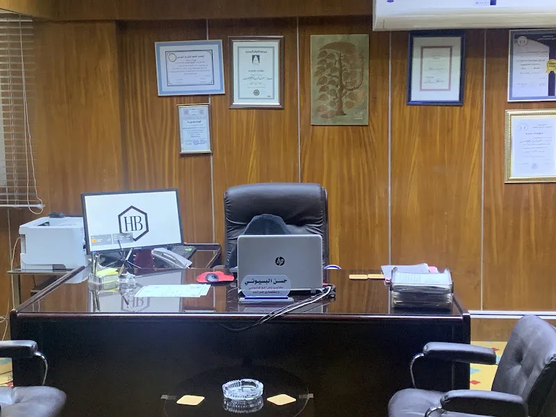 Hassan El-Basyouni Chartered Accountants Office