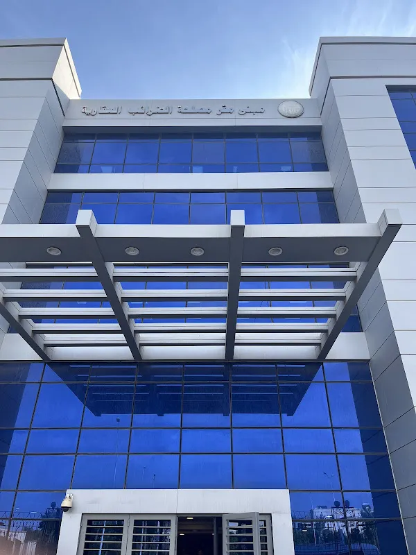 Mohamed Masoud Certified Public Accountant Office