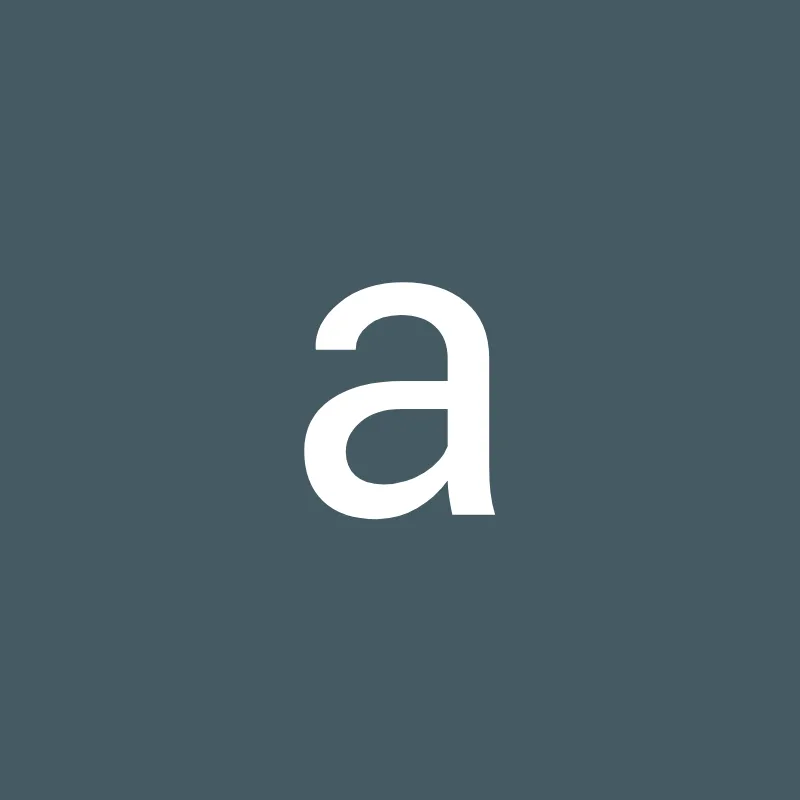 Ibrahim Arafa Accounting and Auditing Office