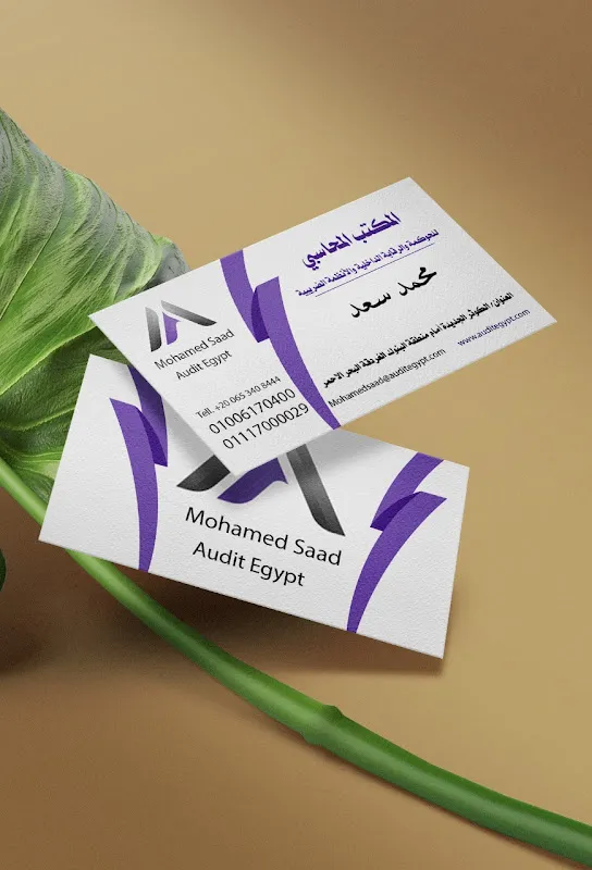 Audit egypt for governance and internal audit محمد سعد على محاسبون ومراجعون قانونيون