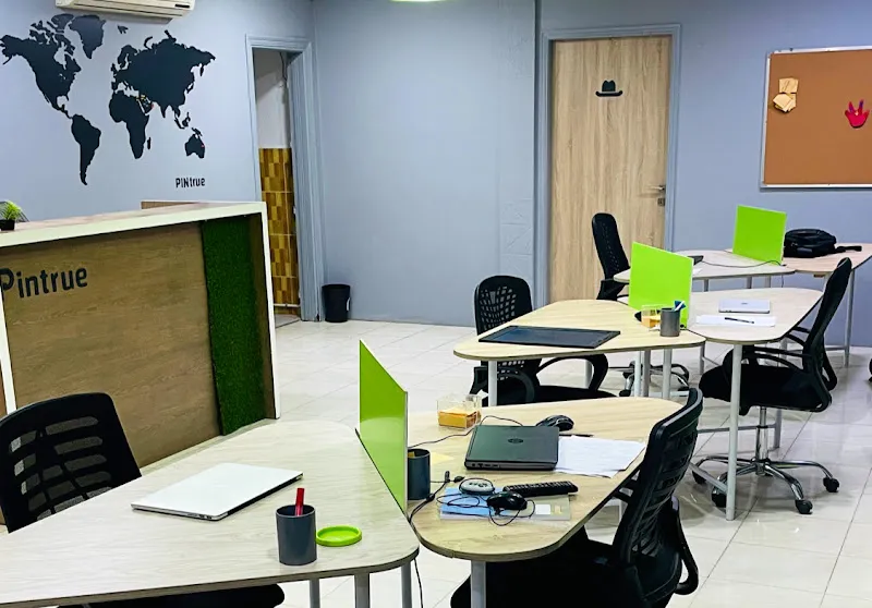 شركة تصميم وتطوير الويب والتطبيقات الإلكترونية Pintrue