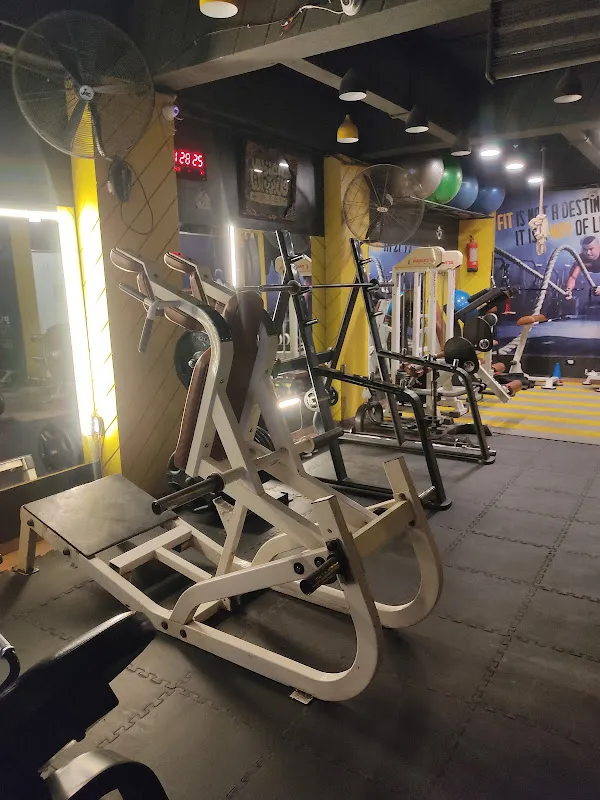 Tiger Gym