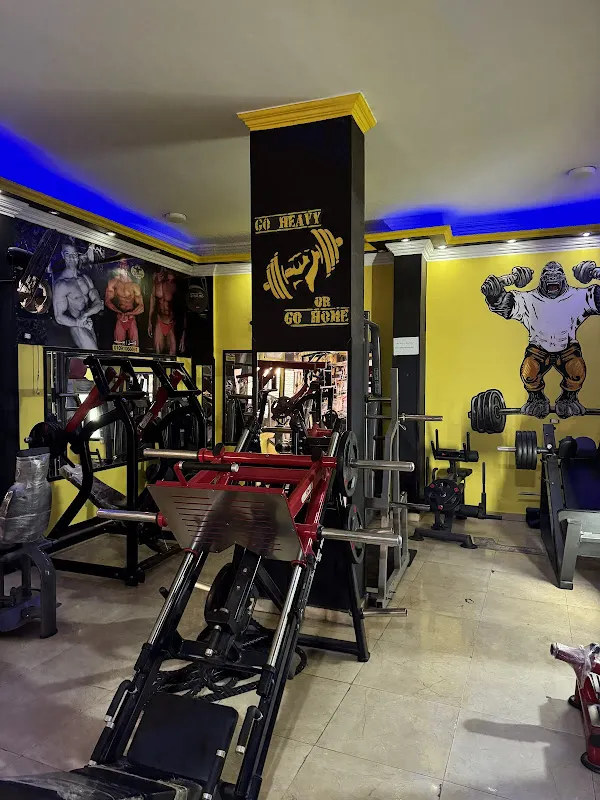 Classic Gym luxor