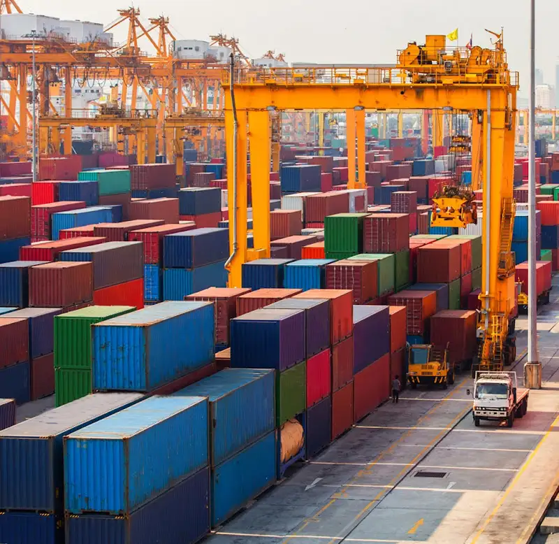 Freight Link, Egypt International Freight Forwarder