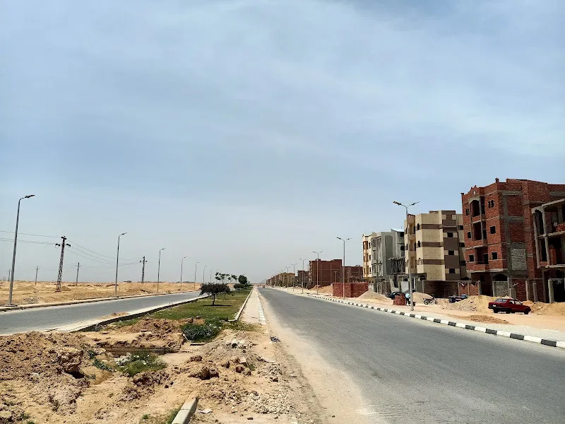 Misr Al-Hadara for Export, Customs Clearance, and Shipping