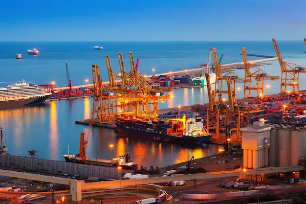 Sanhouri Customs Clearance