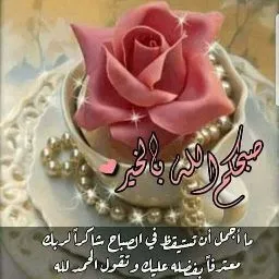 شارع محمود الخيال
