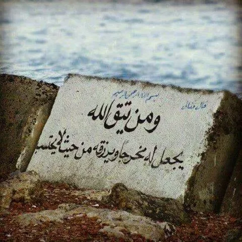 جولدن هاوس م/ محمود السويفي