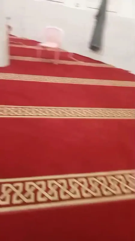 طناح المنصوره