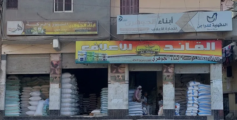 رصيف مستودع قطار البضائع (3)