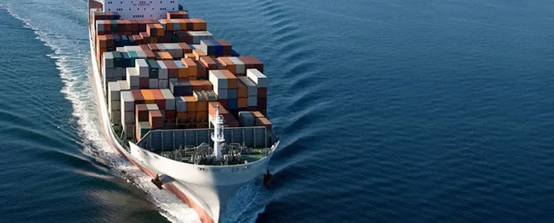 Mi Logistics for International Shipping and Customs Clearance - A Leading Shipping Company in Egypt