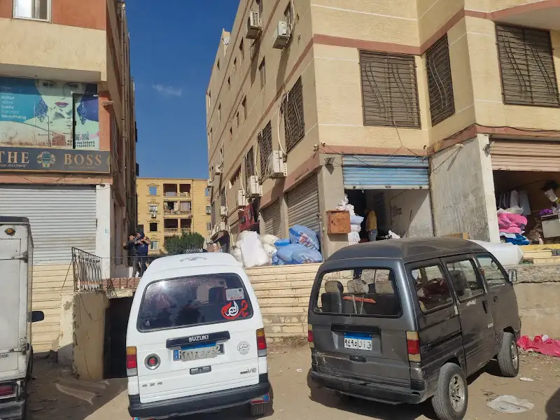شركة الحياة لوجيستيك للشحن