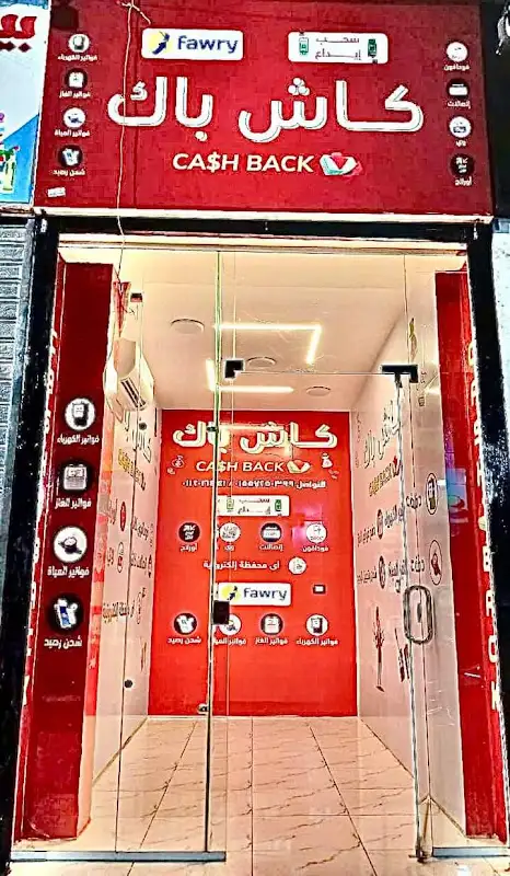 شركة ارجنت للشحن فرع ملوي