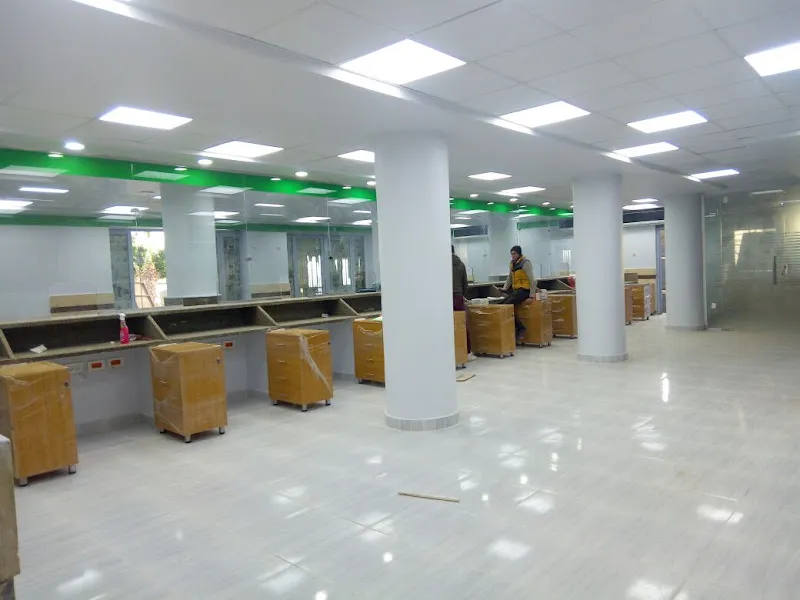 goldenlineegypt