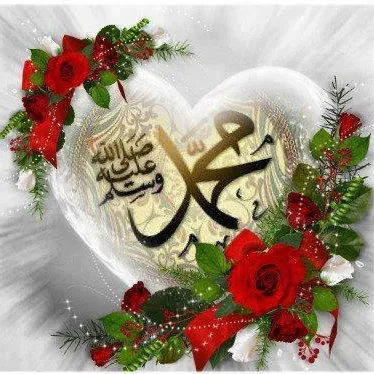 شركه شحن aTs