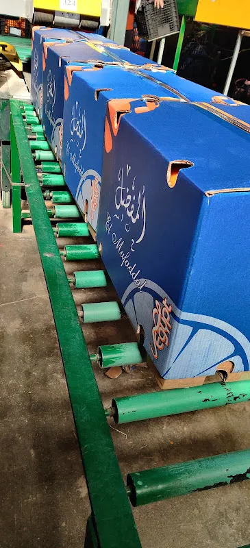 محطه تصدير خضروات وفواكه ايجى جرين Egygreen Limited Pack-house