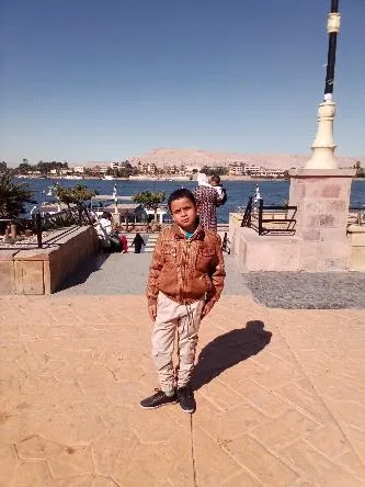 Ergent Luxor Cargo