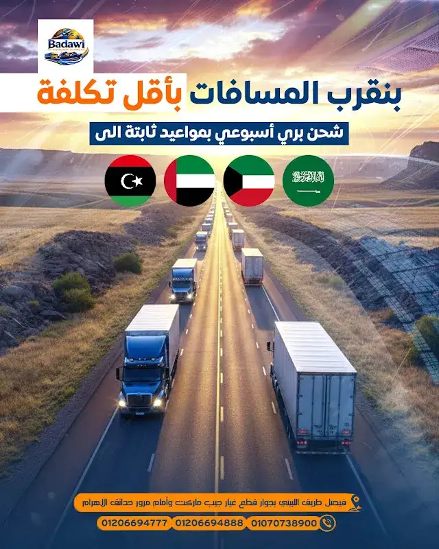 شركة بدوى للشحن الدولى