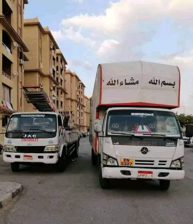Hamad Cranes