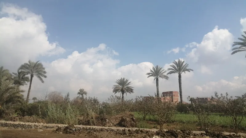 Toukh Tanbasha Ambulance Point