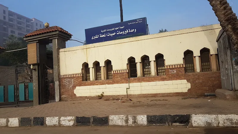 مستشفى حميات المحلة