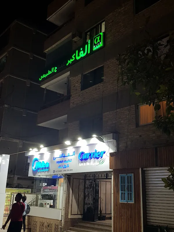 Alpha Care Physical Therapy