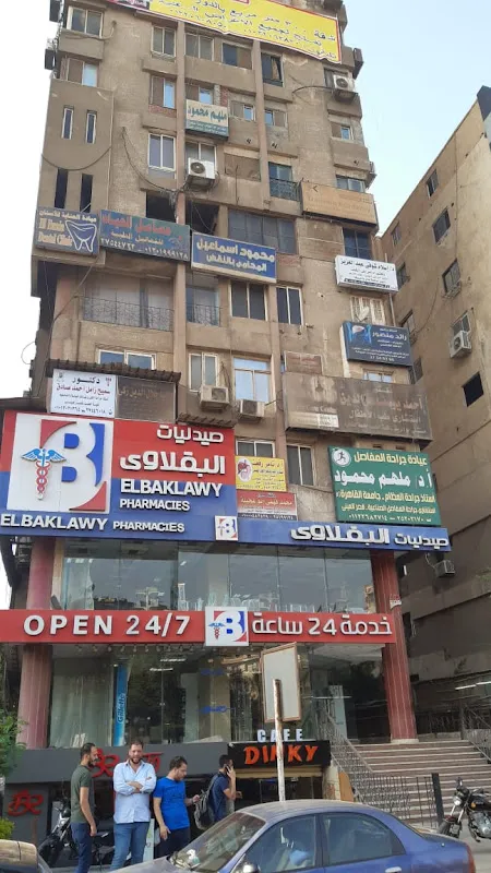 أ.د/ ملهم محمود