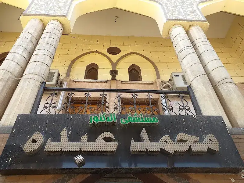 د. محمد محمود ابو العلا