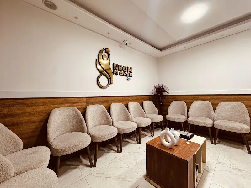 Negm Physiotherapy Center مركز نجم للعلاج الطبيعى