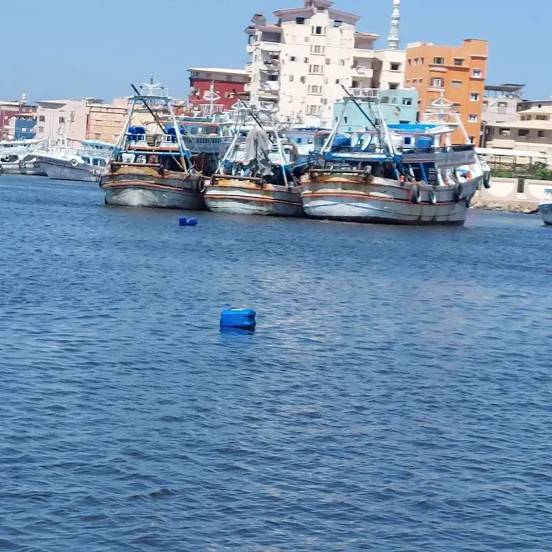 معدية أمارة