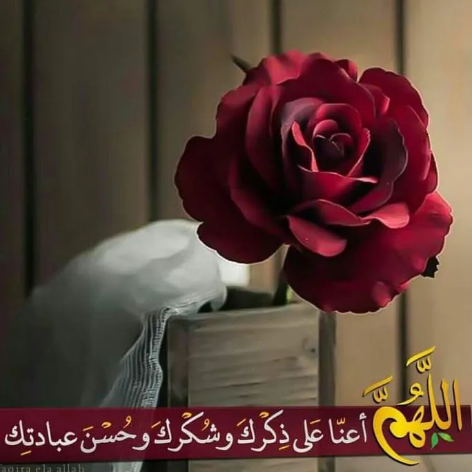 د. علاء السيد ربيع