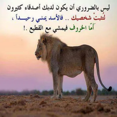 Dr. Mohamed Hamdy Radwan
