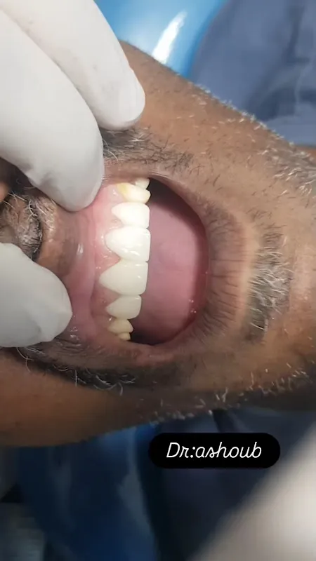 Dr. Mahmoud Ashoub