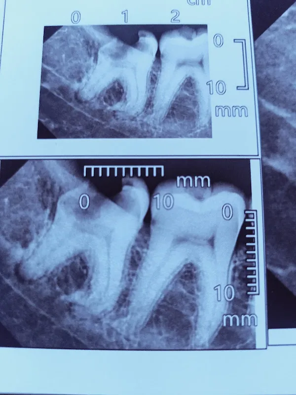 Dr. Samar El-Roubi Dental Clinic