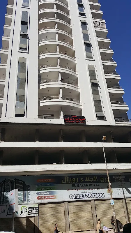Dr. Alaa El-Din Kamel El-Gendy