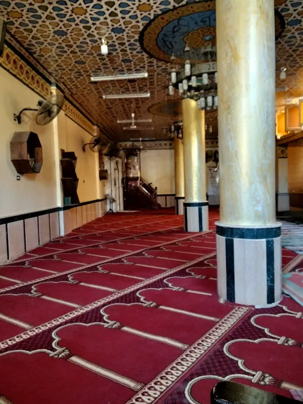 عيادة دكتورسمير نجيب استشاري طب الاطفال