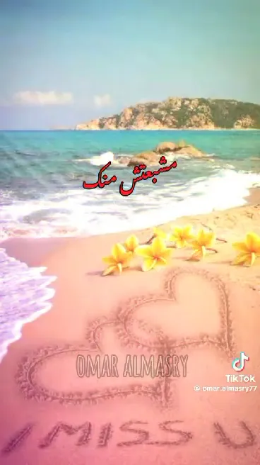 Dr. Ashraf Ahmed Raafat