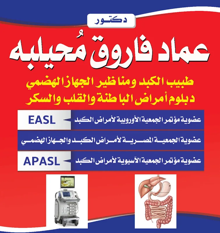 Dr. Abram Magdy Ibrahim Ear, Nose and Throat Specialist