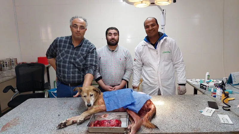 طبيب بيطرى دكتور عماد تاج الدين