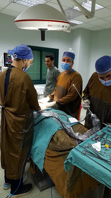 Dr. Mohamed Sabry Ammar