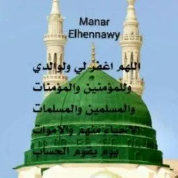 دكتور أسامة إدريس