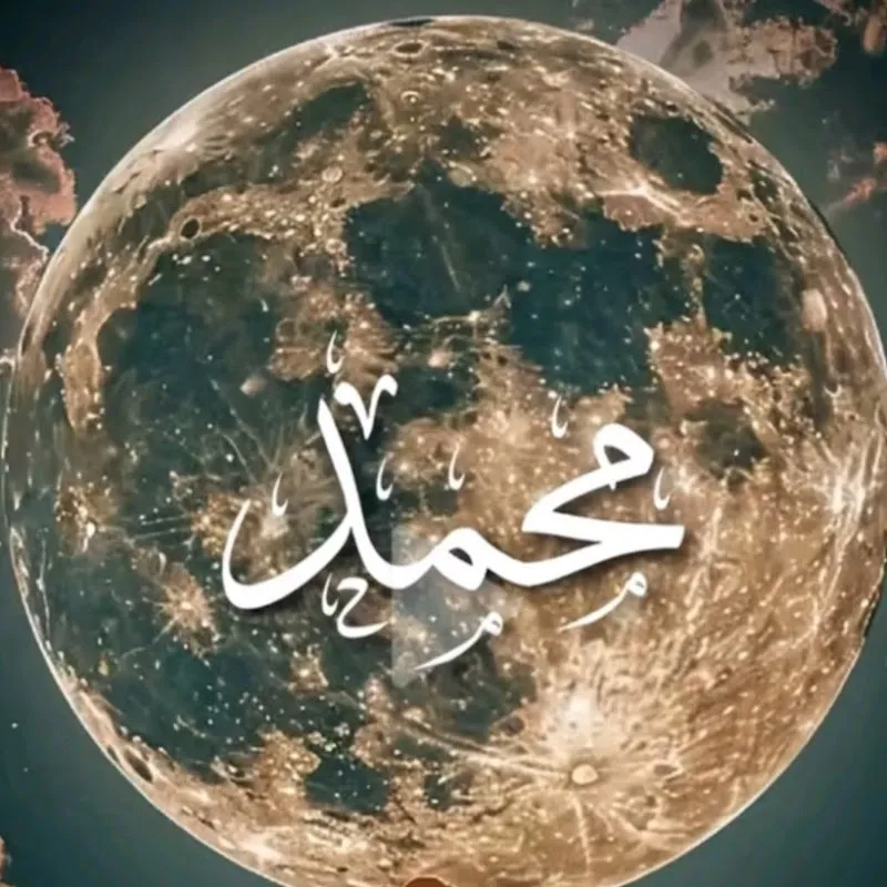 د. عبد المطلب طه عيسى