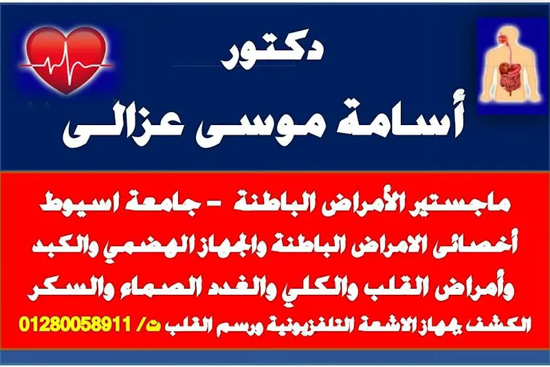 الدكتور الطماوى
