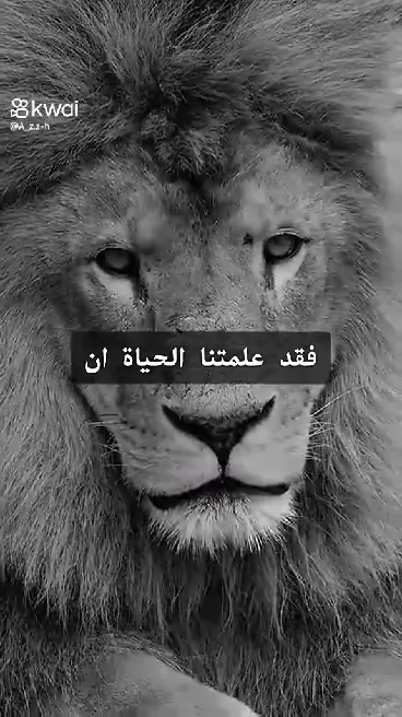 د.محمد عبدالله خليفه استشاري الباطنة والقلب والسكر