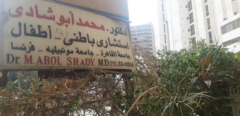 Dr. Mohamed Abou Shady