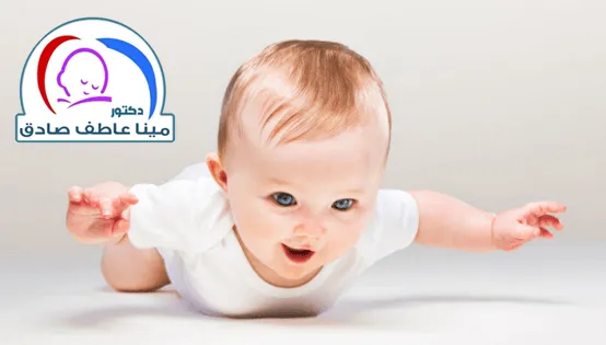 Dr. Mina Atef Sadek