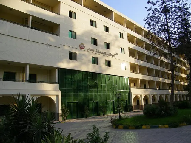 El Mahalla El Kubra General Hospital